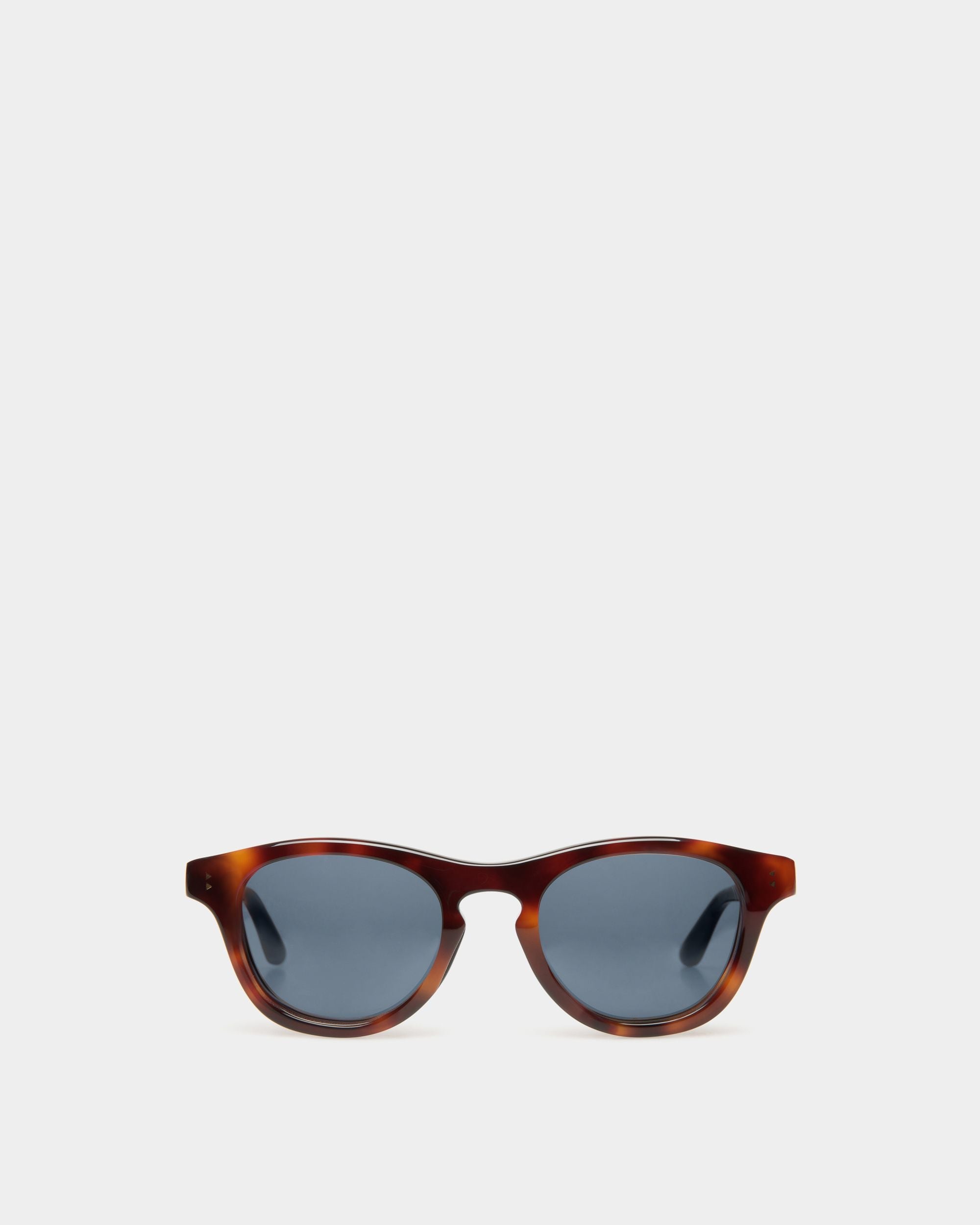 Dieter Sunglasses In Havana Acetate - Other - Bally - 01