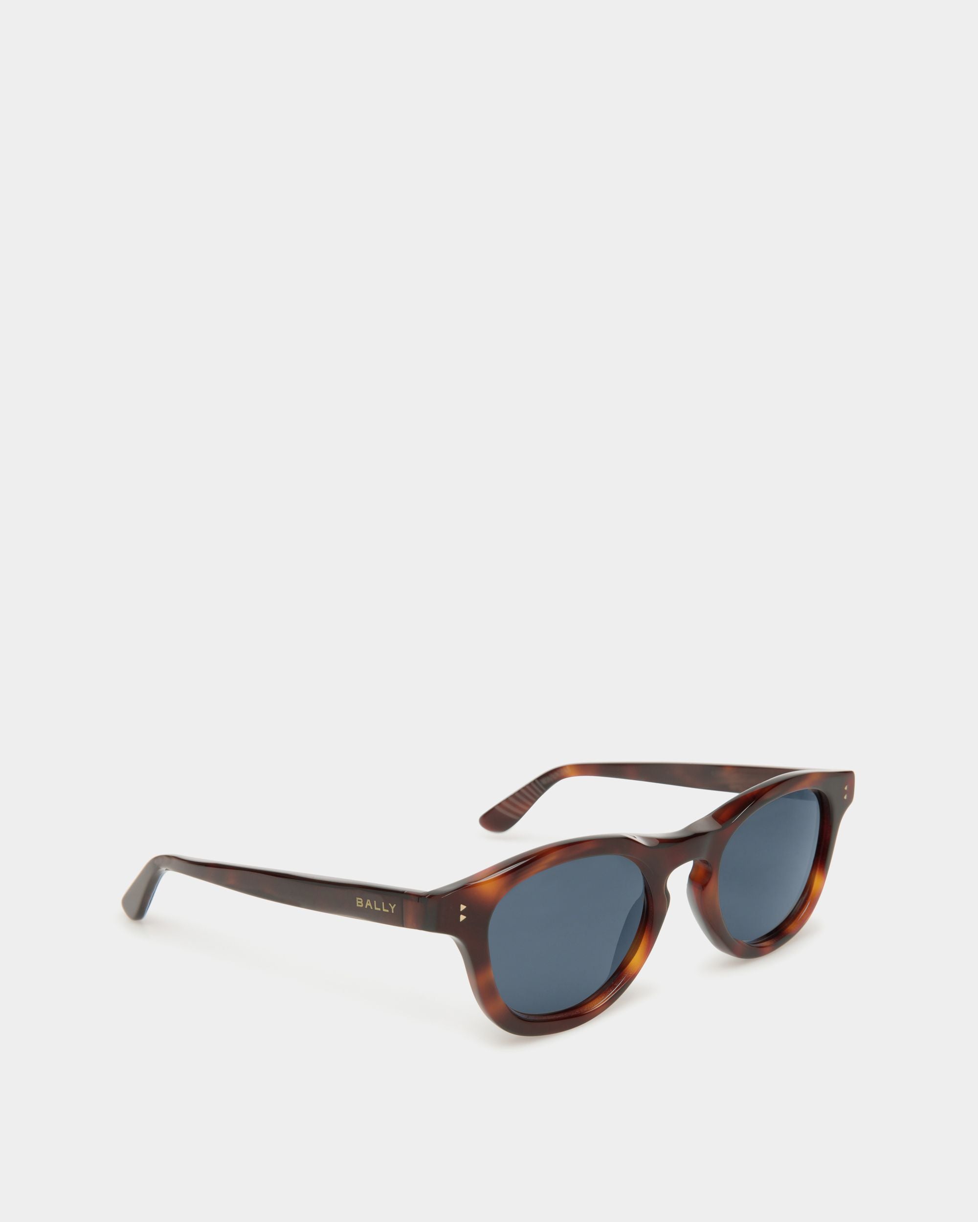 Dieter Sunglasses In Havana Acetate - Other - Bally - 02
