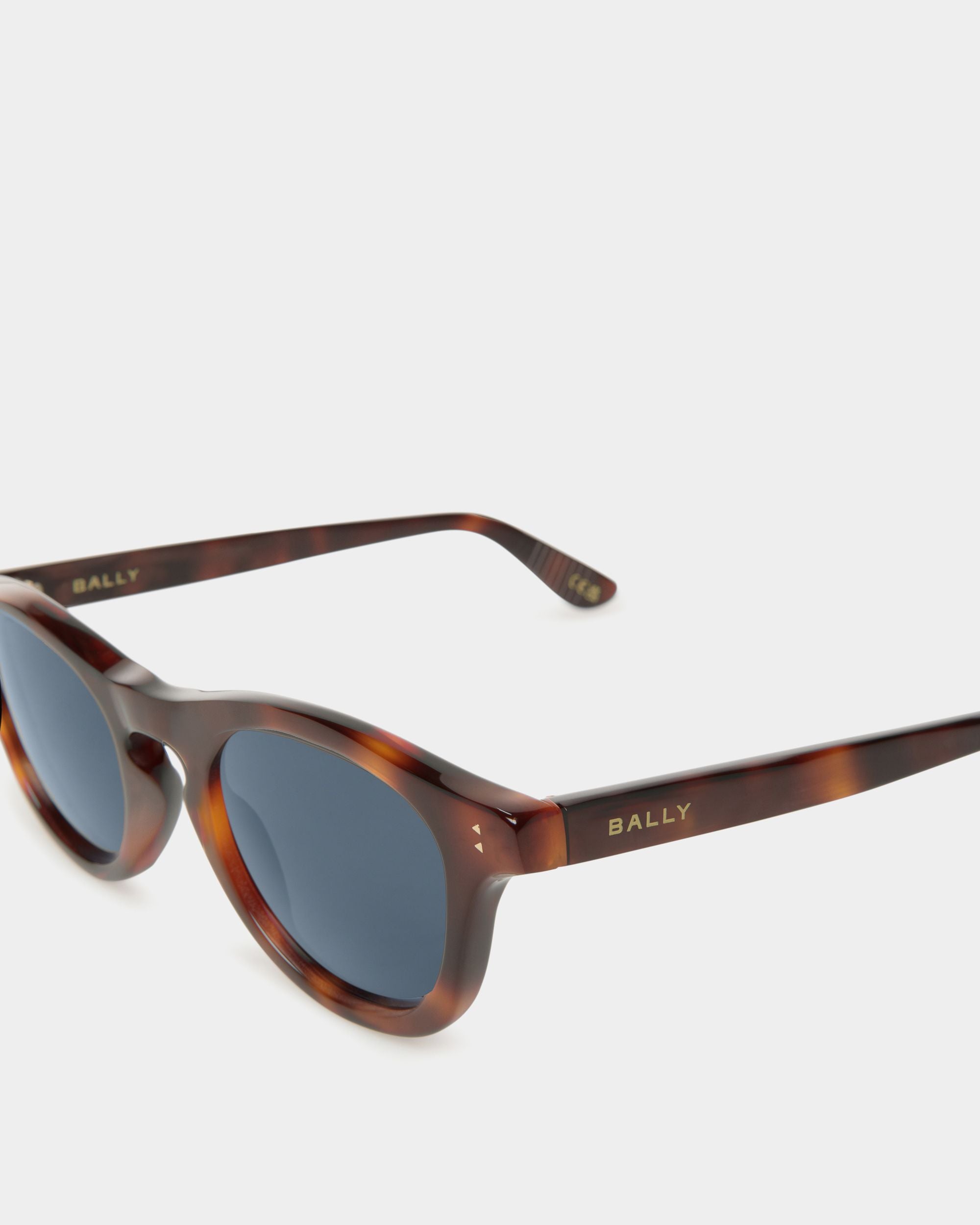 Dieter Sunglasses In Havana Acetate - Other - Bally - 03