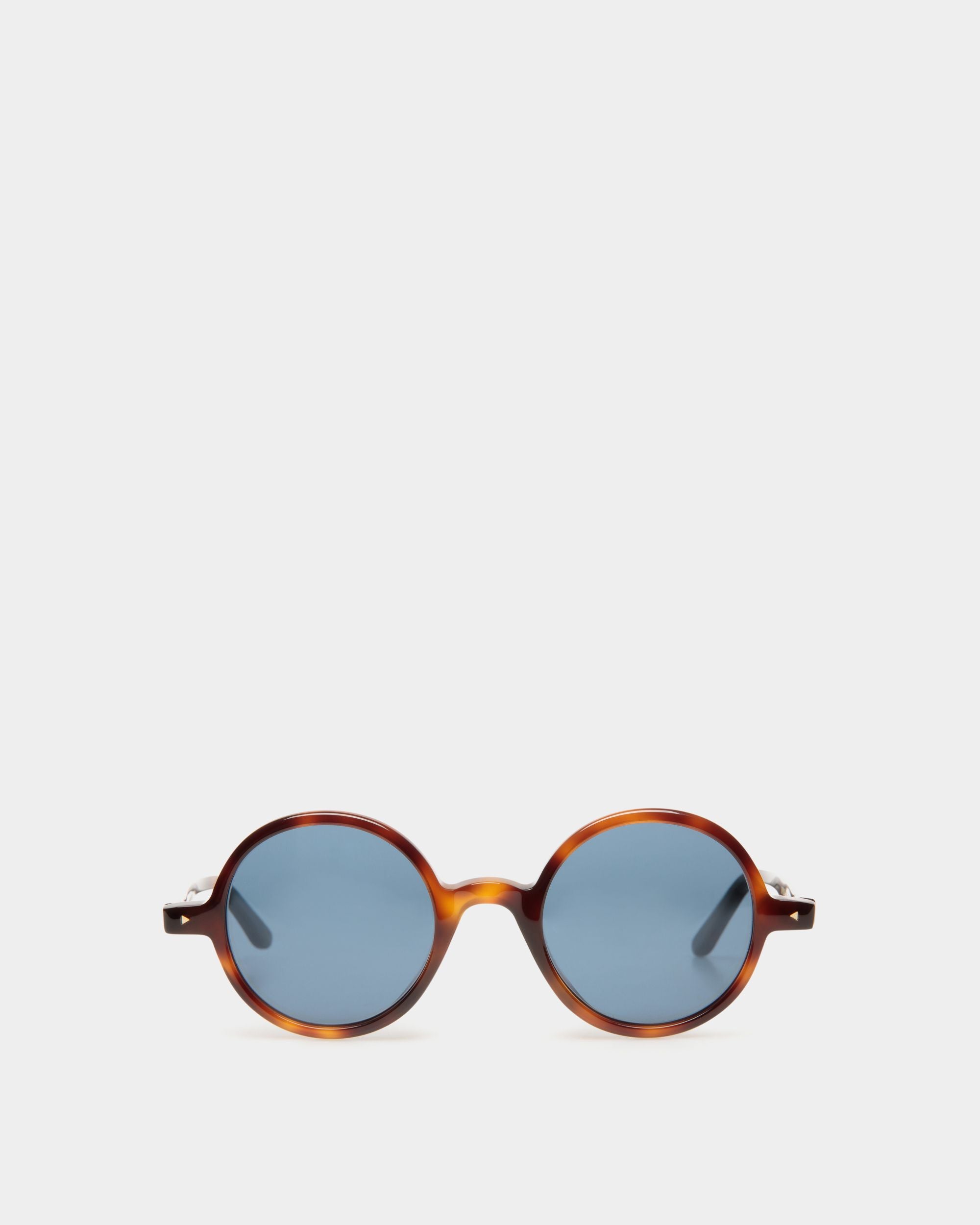Otto Sunglasses In Havana Acetate - Other - Bally - 01