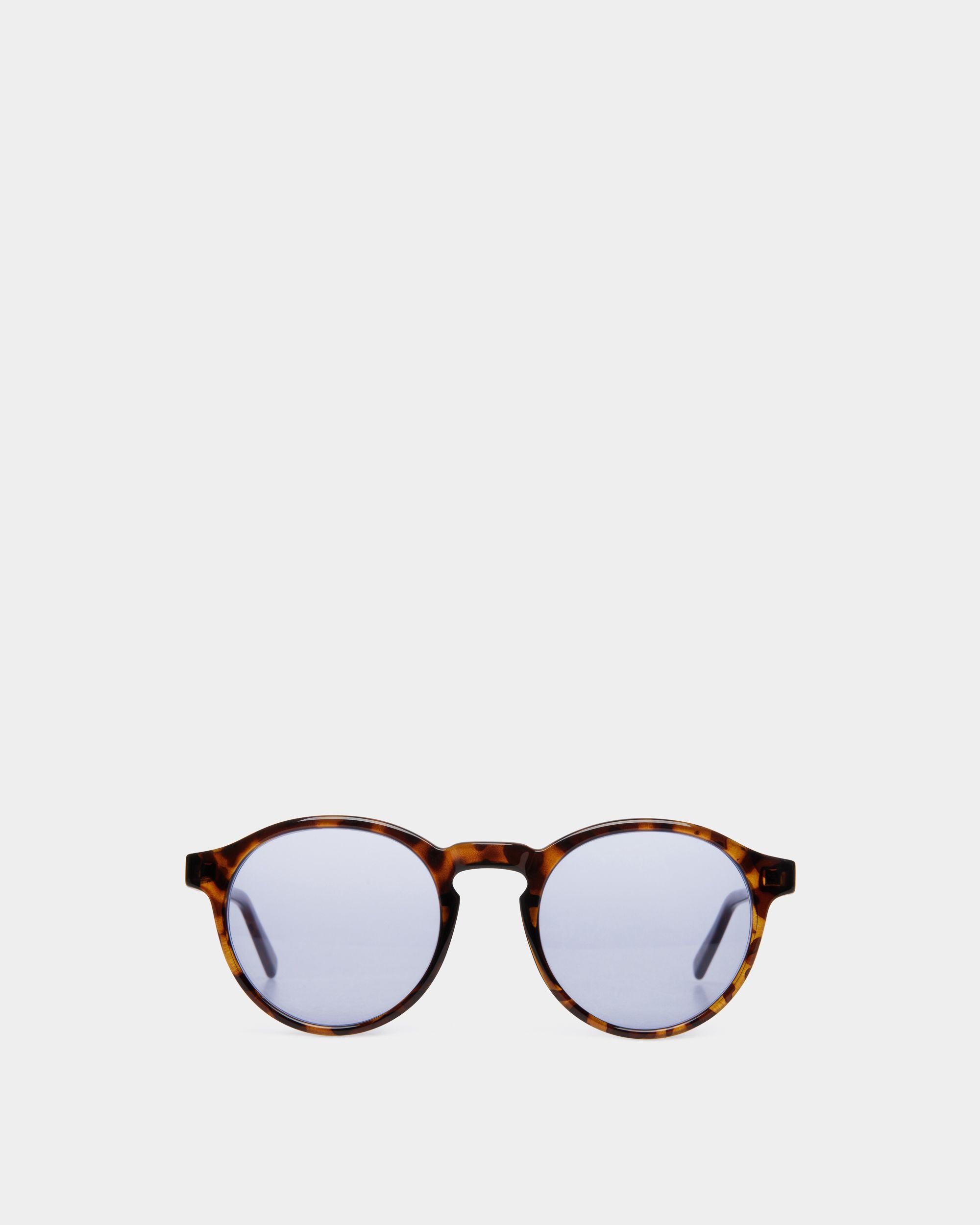 Round Sunglasses in Havana - Other - Bally - 01