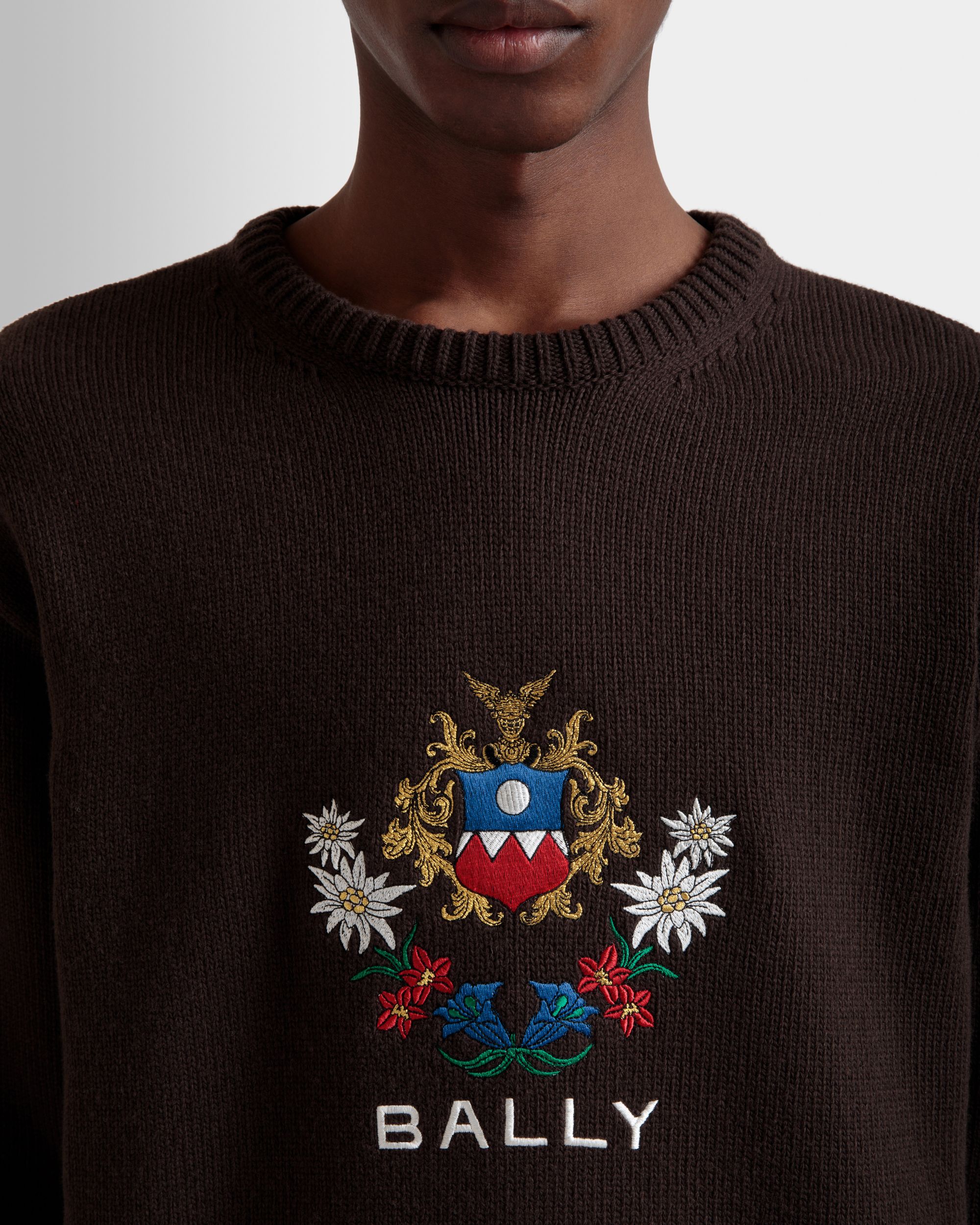 Winter Capsule Crewneck Sweater With Alpine Flowers in Ebano Wool - Men's - Bally - 03