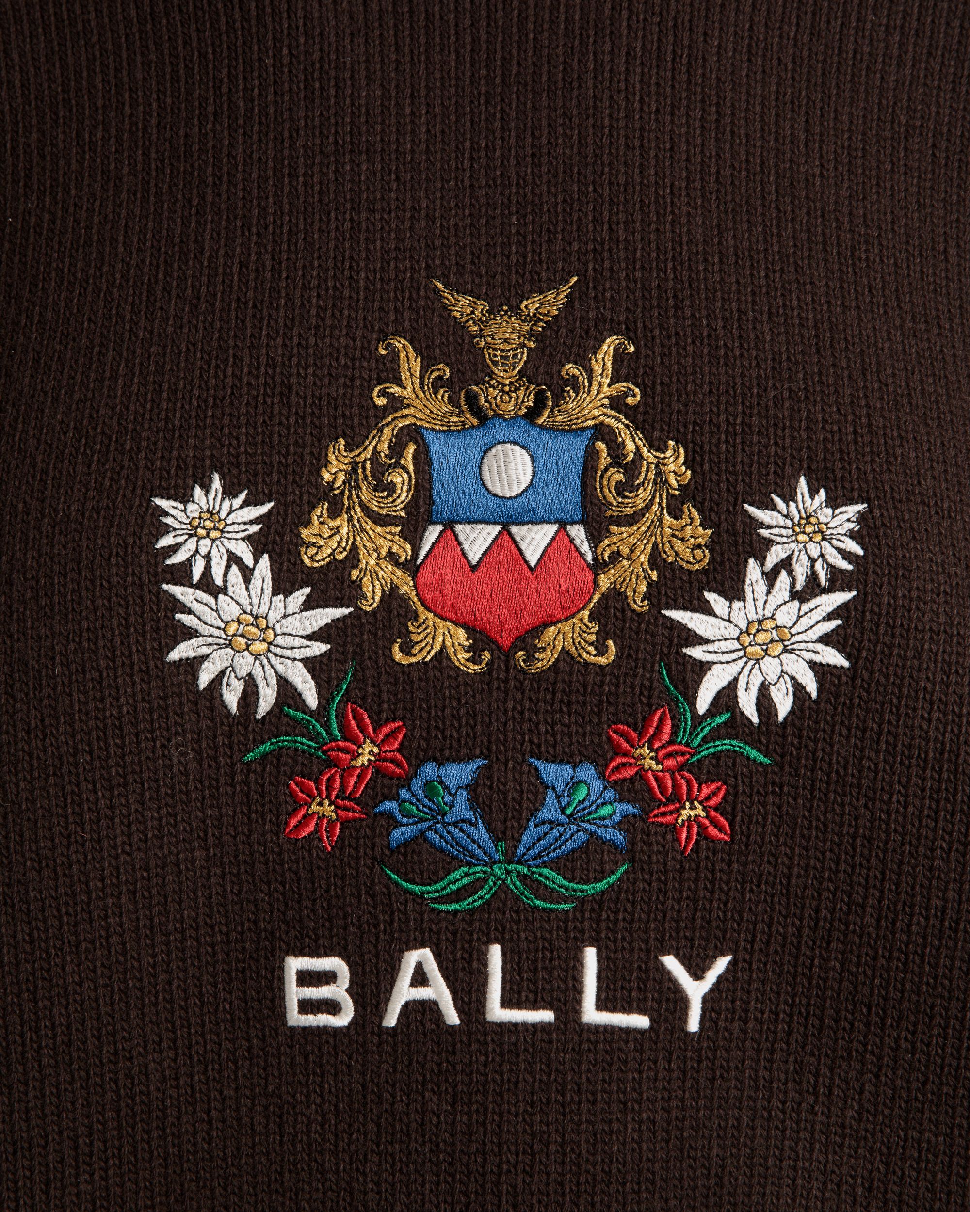 Winter Capsule Crewneck Sweater With Alpine Flowers in Ebano Wool - Men's - Bally - 04