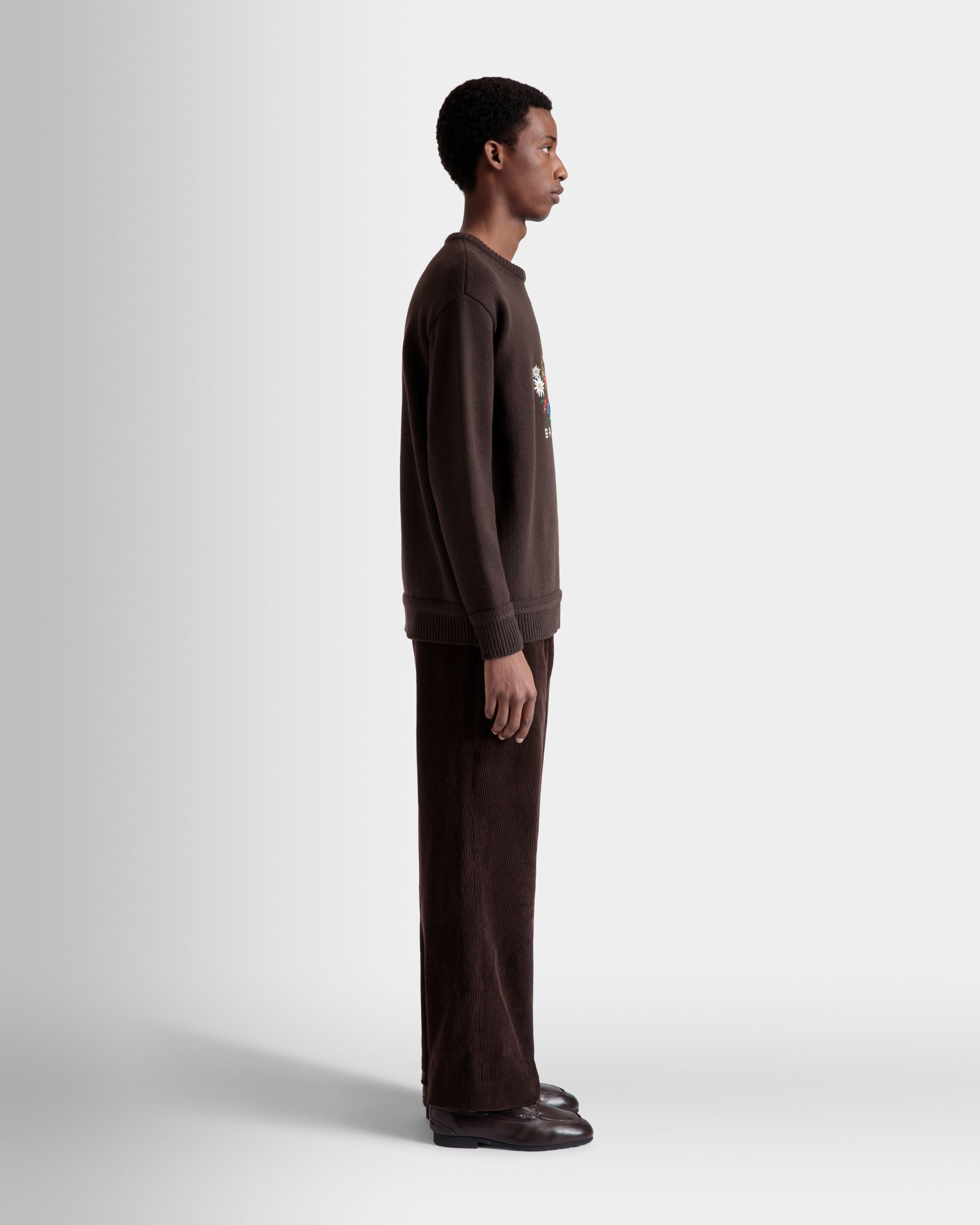 Winter Capsule Crewneck Sweater With Alpine Flowers in Ebano Wool - Men's - Bally - 05